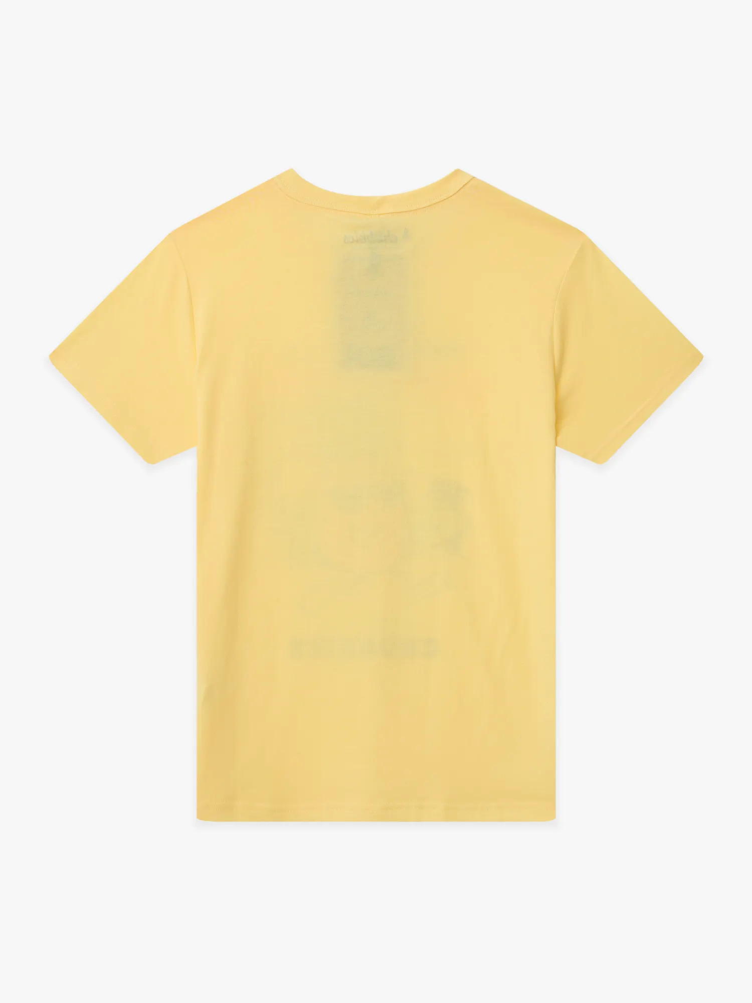The Pineapple-A-Day (Boys Non Pocket T-Shirt)