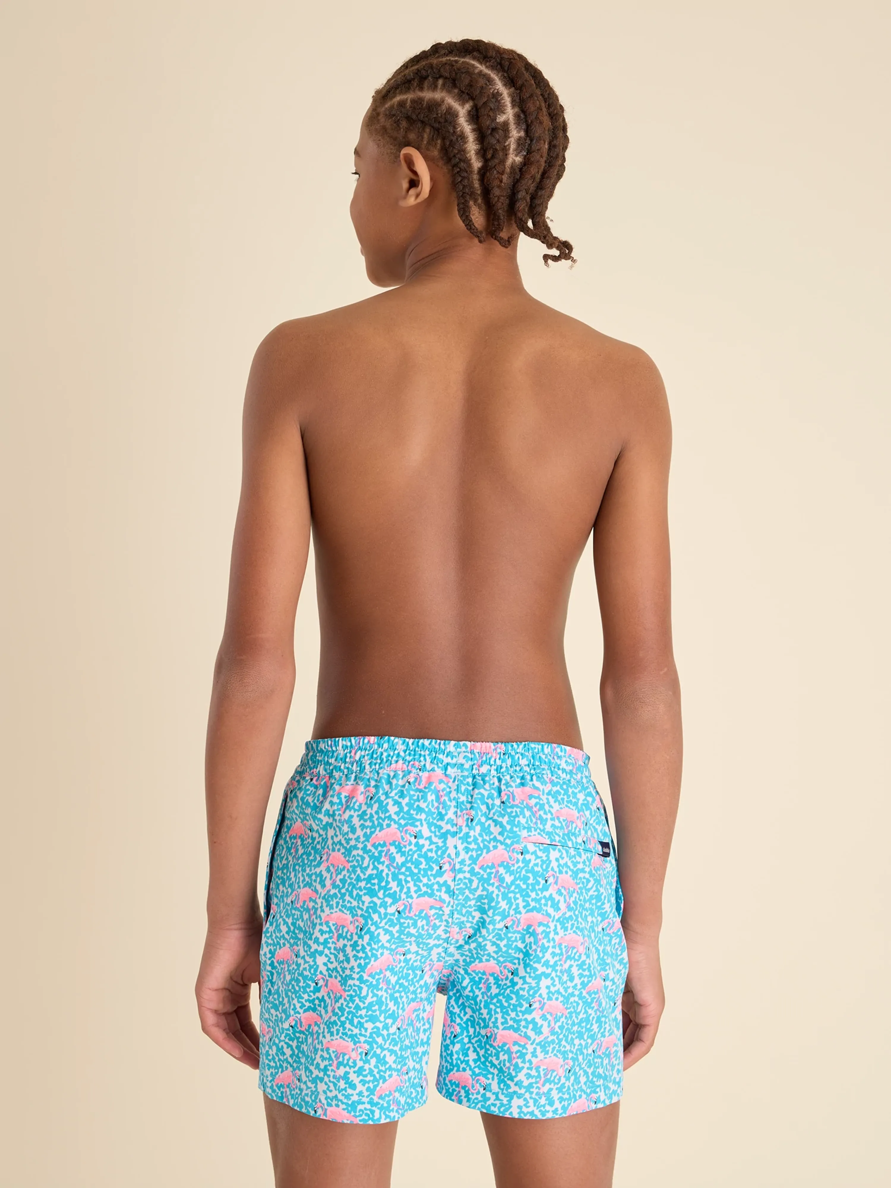 The Domingos Are For Flamingos (Boys Lined Classic Swim Trunk- Shorter)