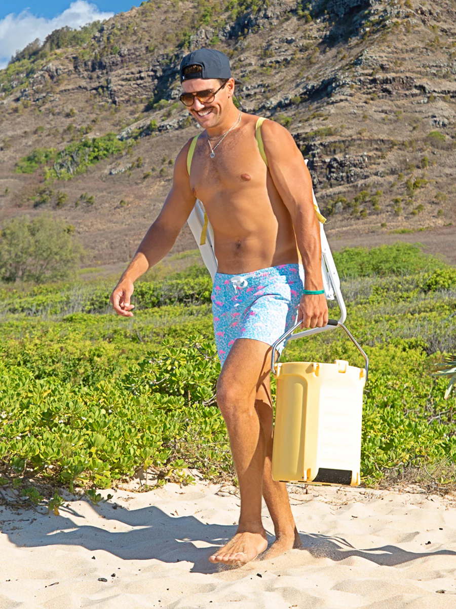 The Domingos Are For Flamingos 5.5" (Lined Classic Swim Trunk)