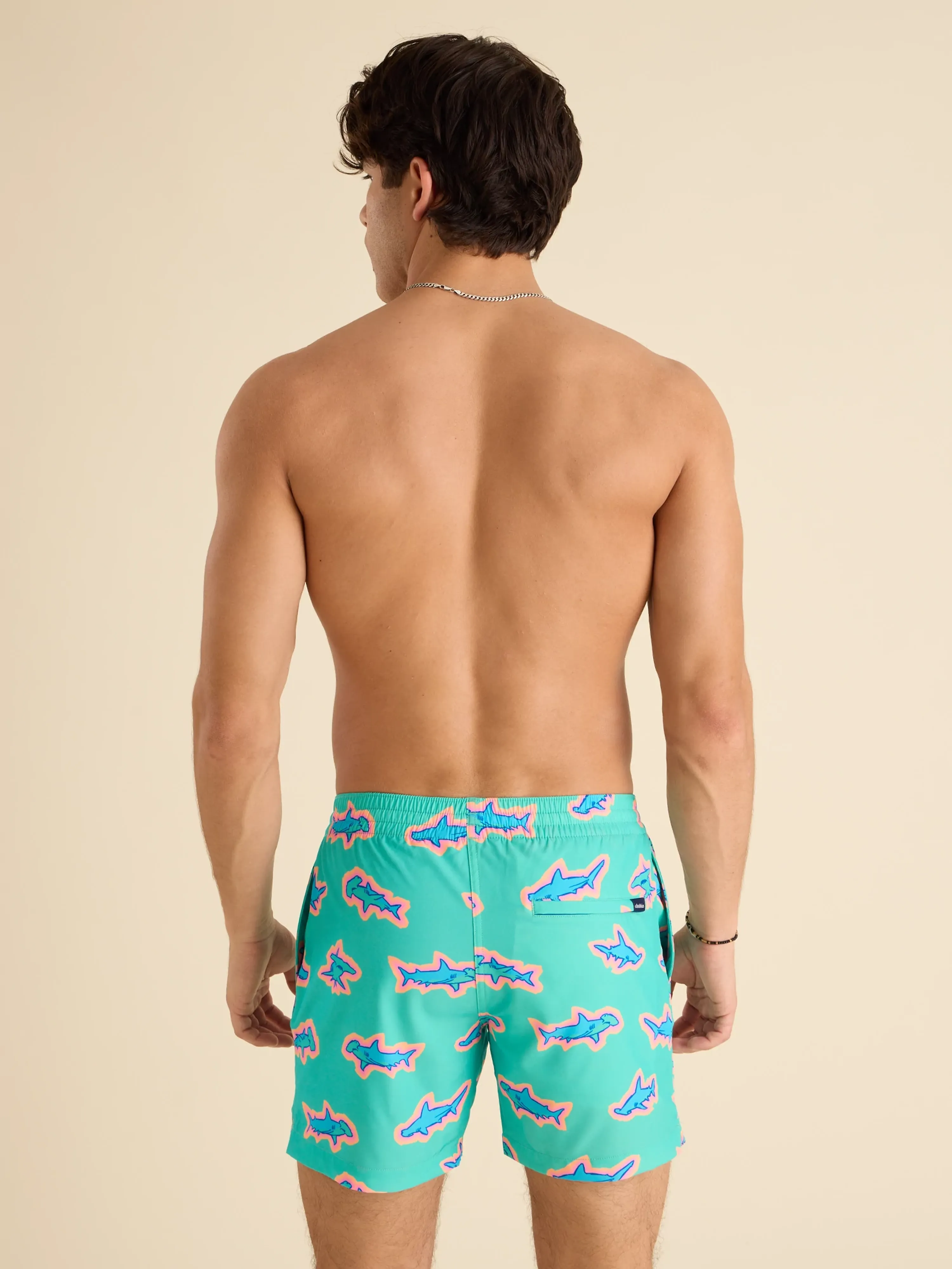 The Apex Swimmers 5.5" (Lined Classic Swim Trunk)