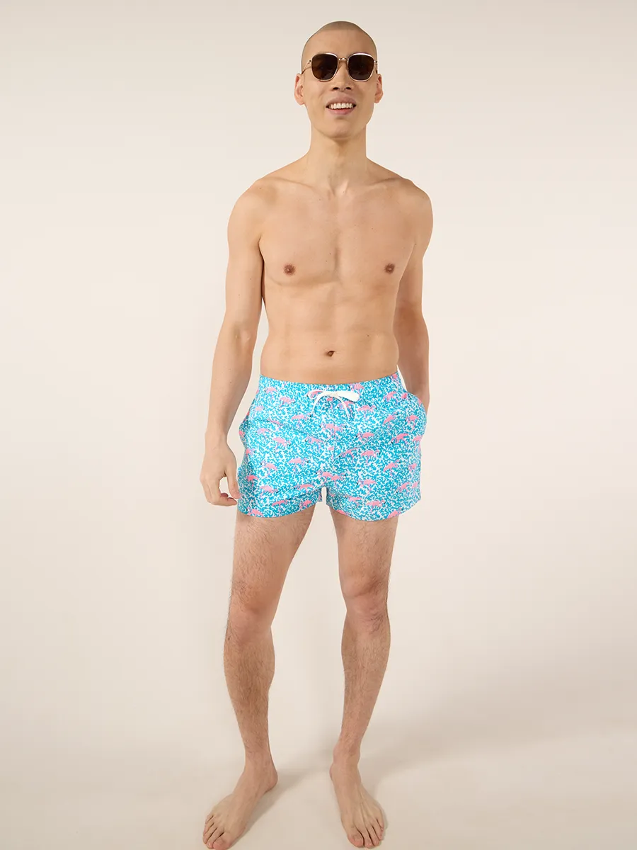 The Domingos Are Flamingos 4" (Classic Swim Trunk)