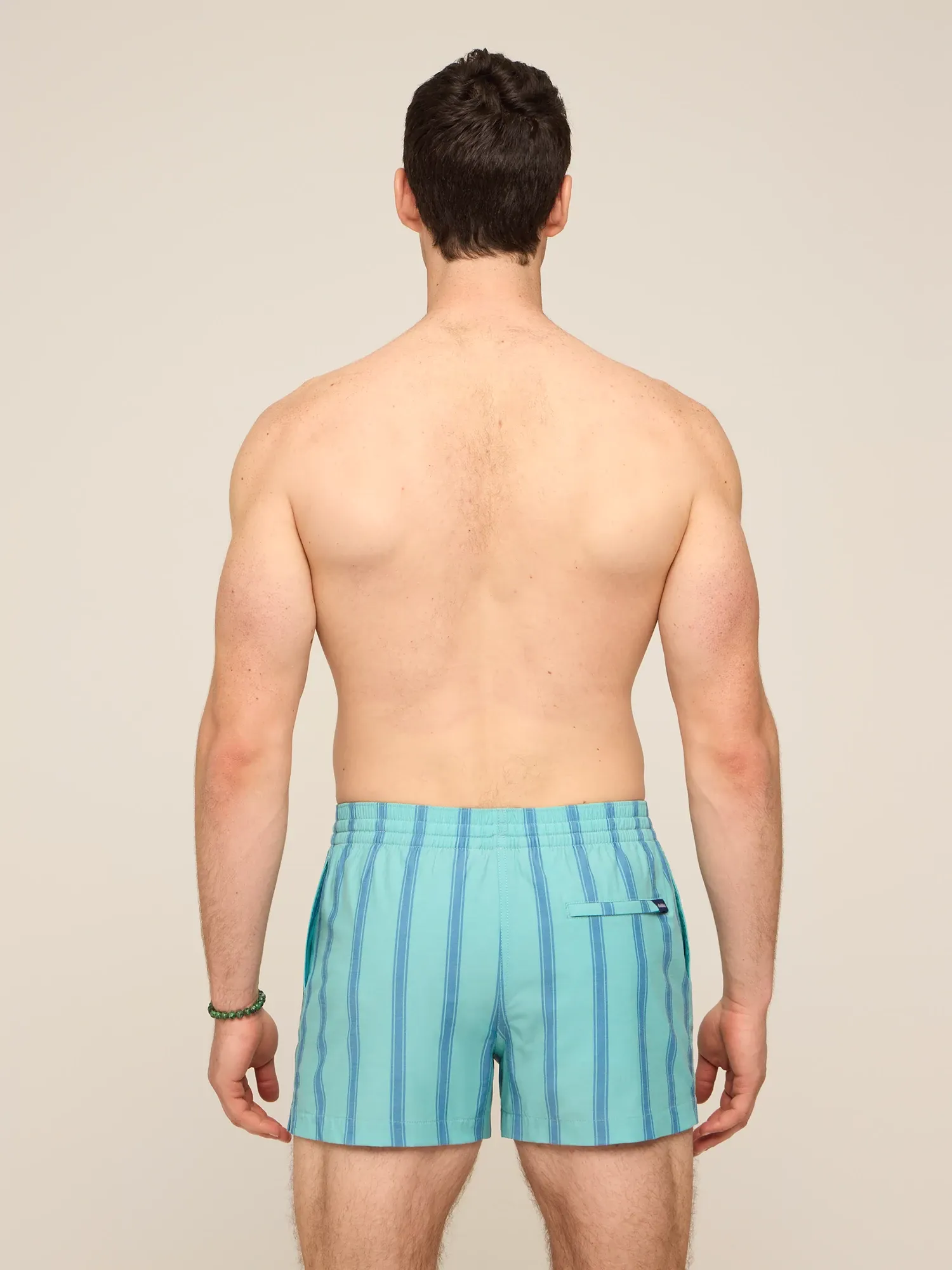 The Everpine Stripes 4" (Classic Lined Swim Trunk)