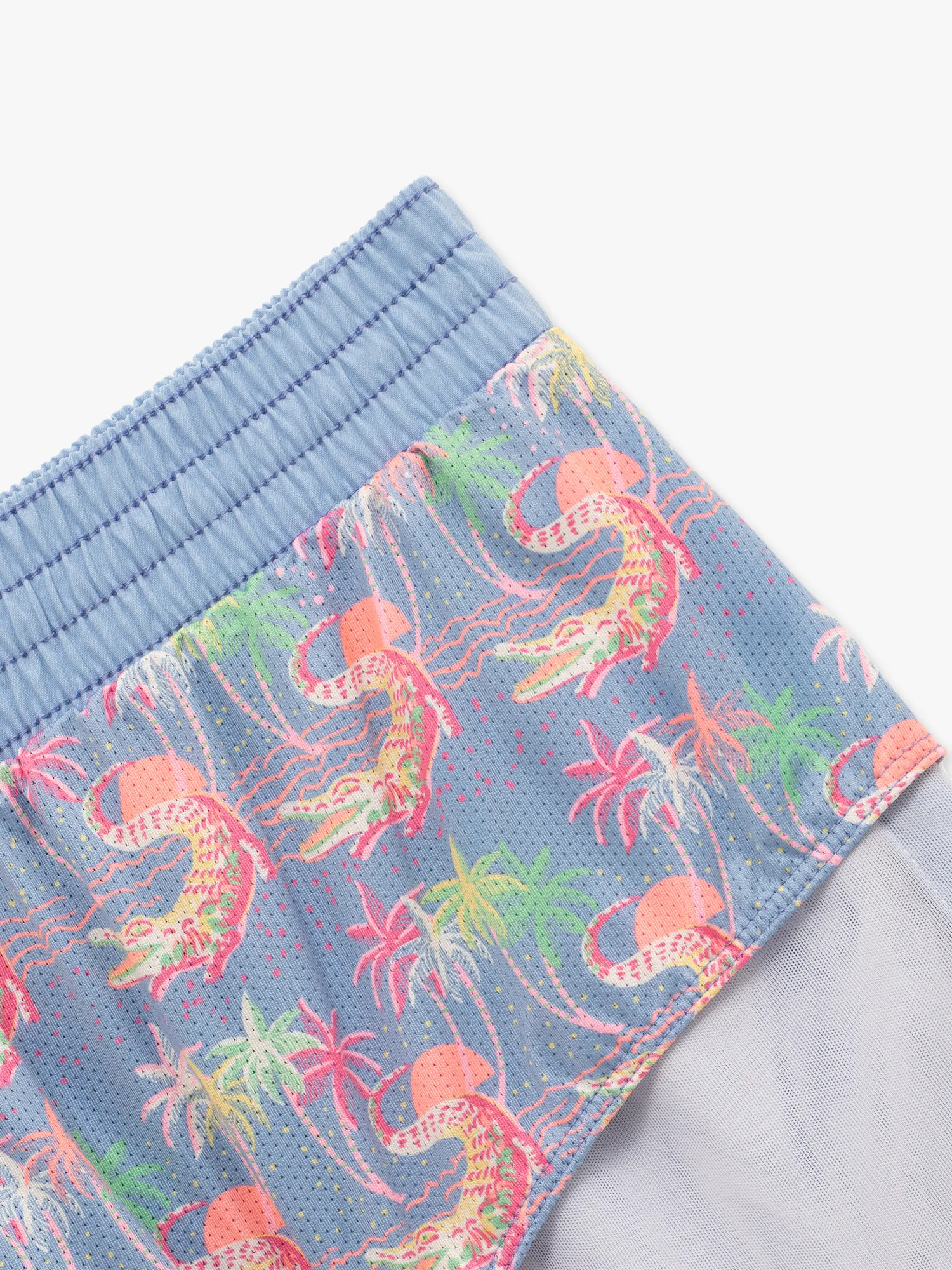 The Alpine Skies 2" (Classic Lined Swim Trunk)