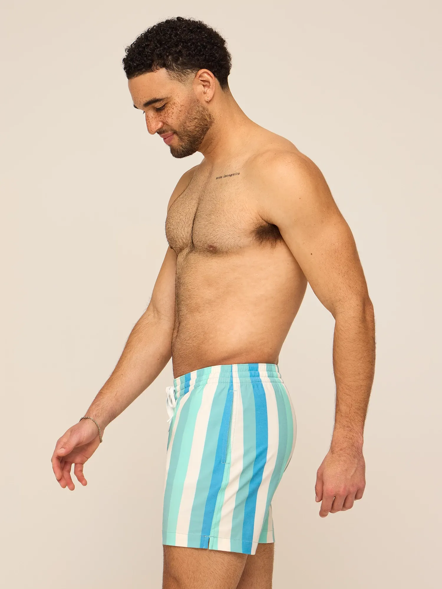The Eversea Stripes 5.5" (Classic Lined Swim Trunk)