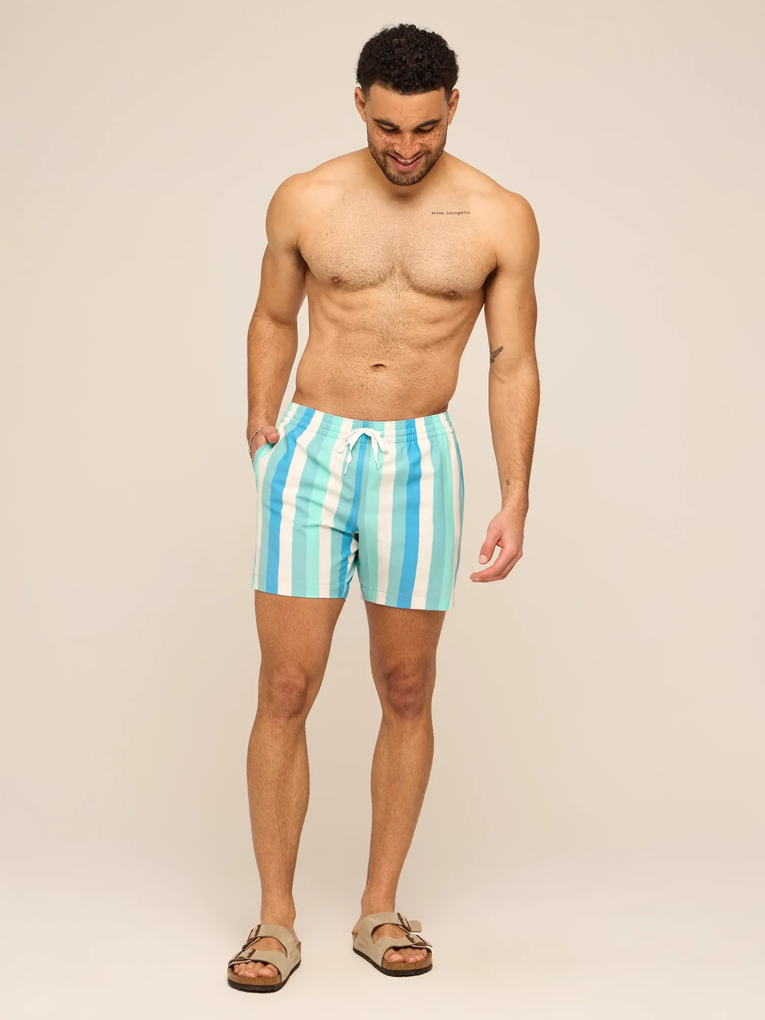 The Eversea Stripes 5.5" (Classic Lined Swim Trunk)