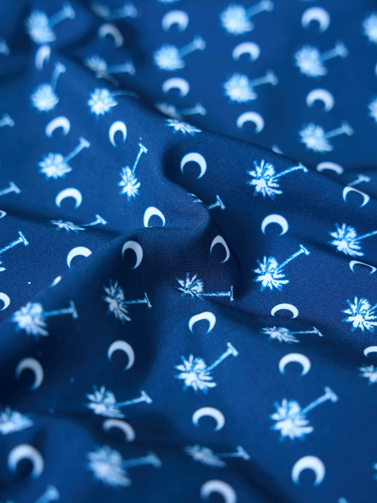 The Goodnight Palmetto Moons 5.5" (Classic Lined Swim Trunk)
