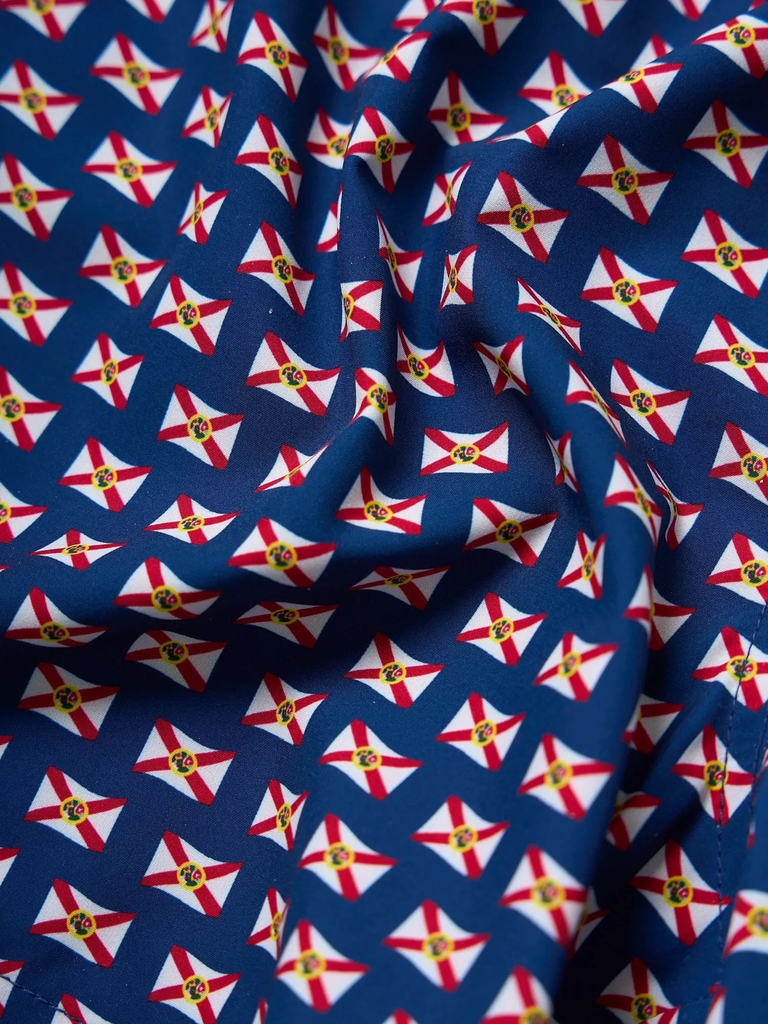 The Sunshine States 5.5" (Classic Lined Swim Trunk)