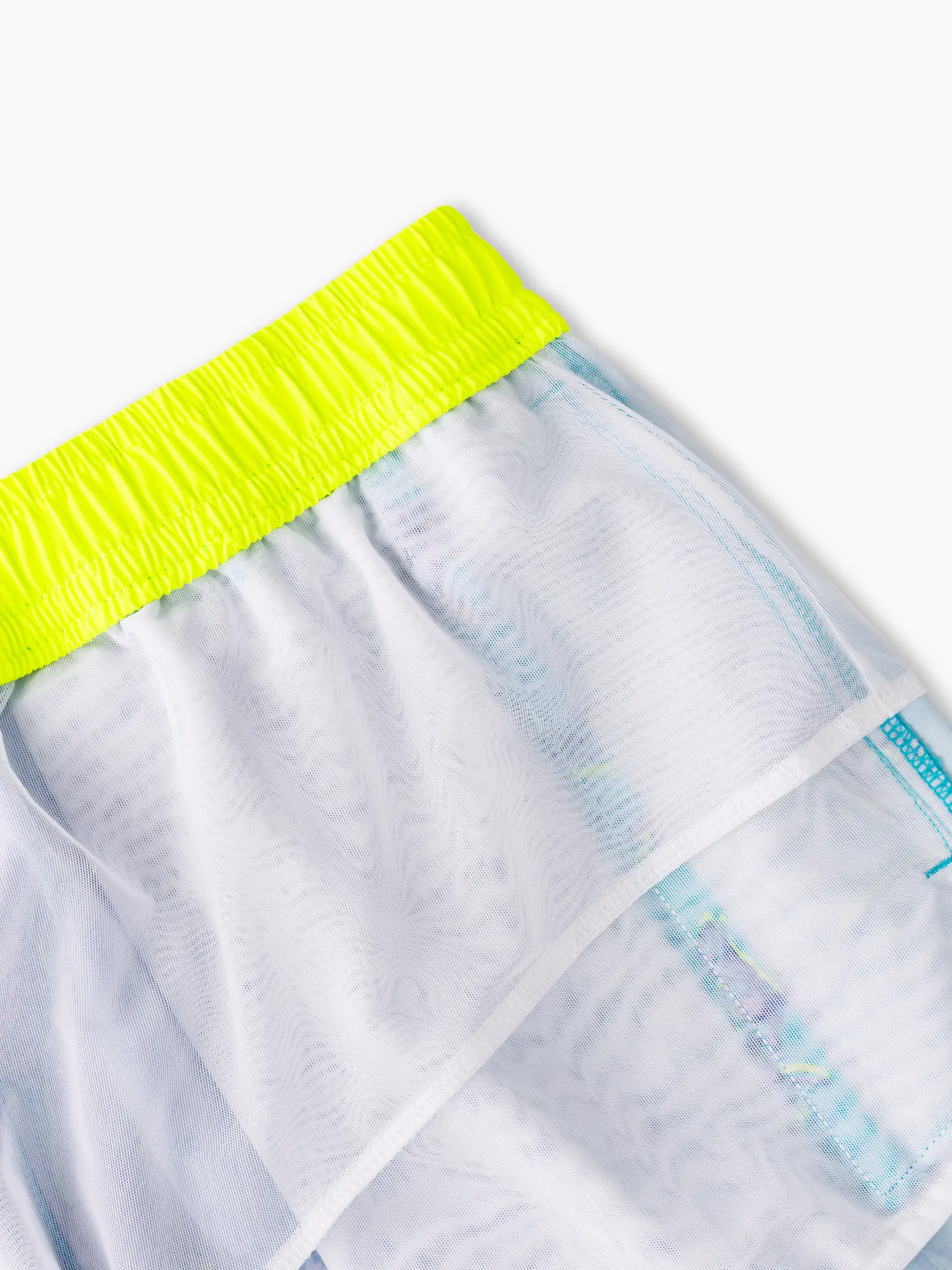 The Dino Delights 5.5" (Classic Swim Trunk)