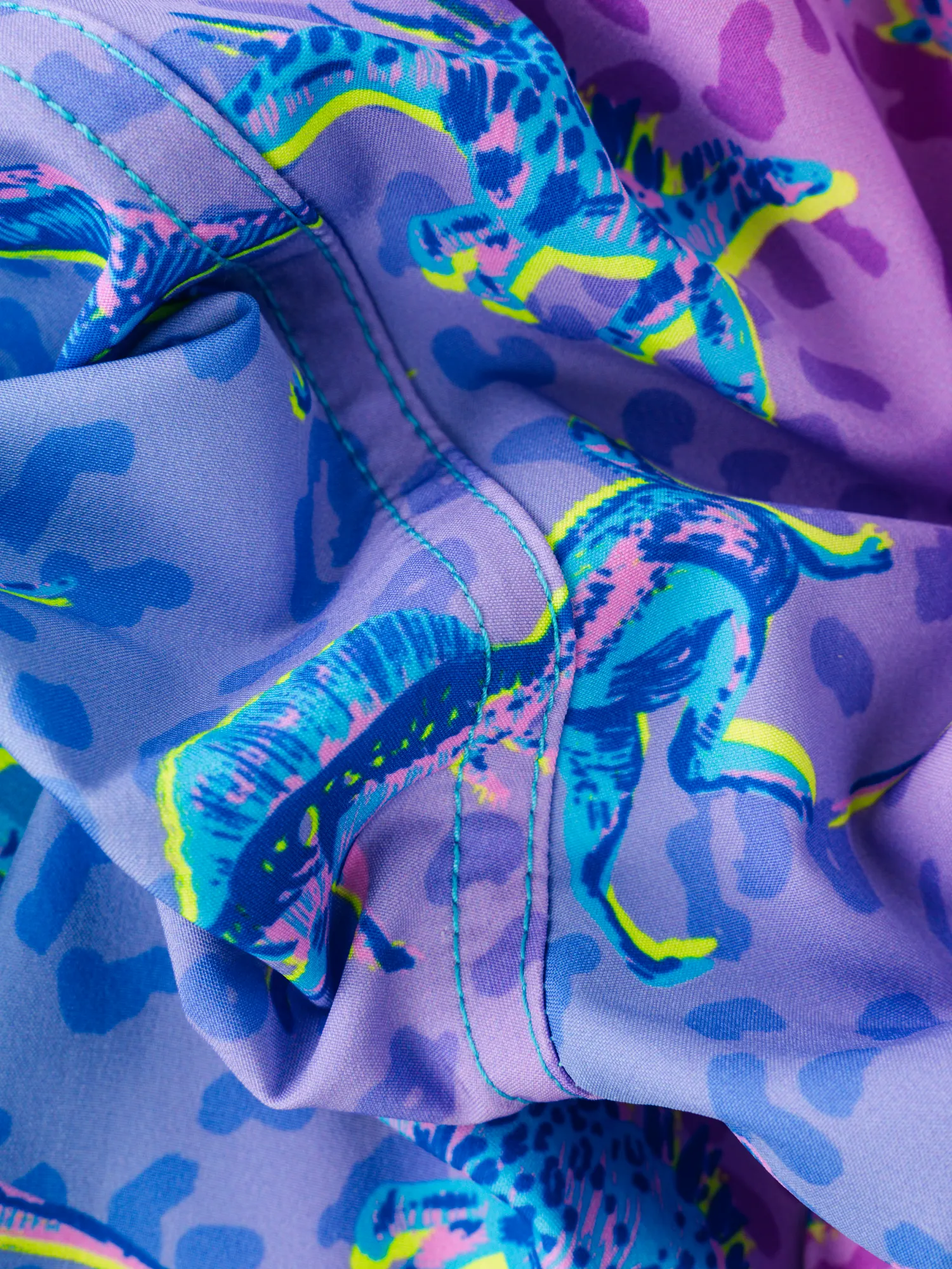 The Dino Delights 5.5" (Classic Swim Trunk)