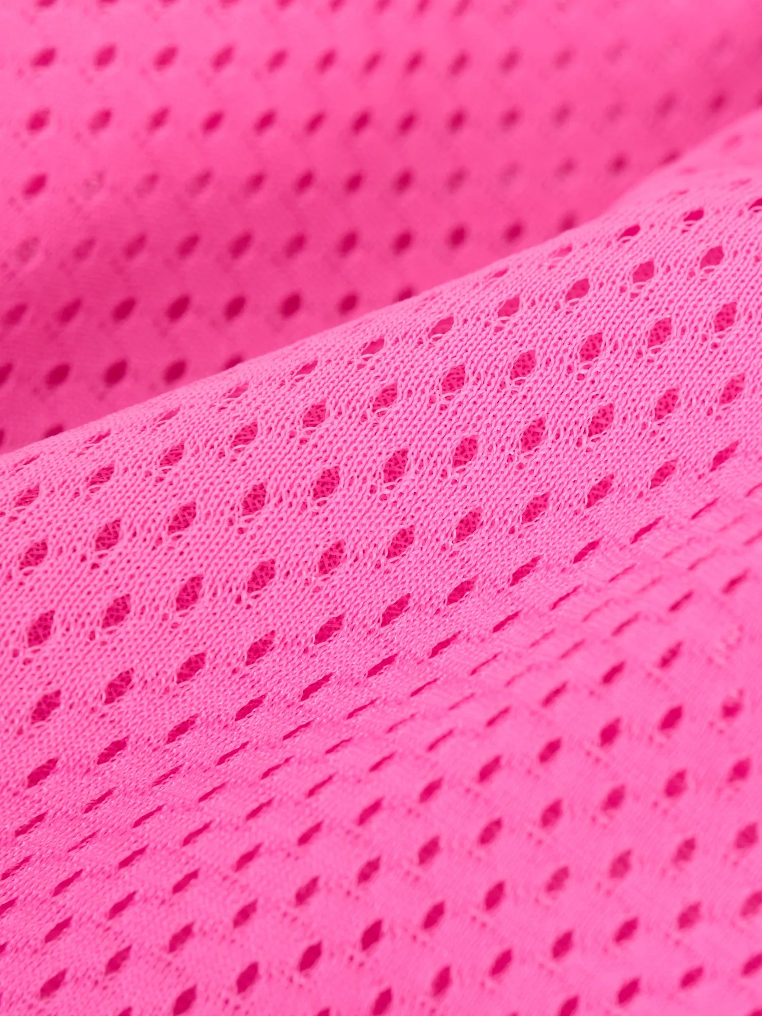 The Flamingo Fizzes (Court Short)