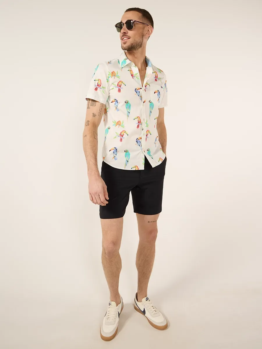 The Midnight Adventure 8" (Everywear Stretch)