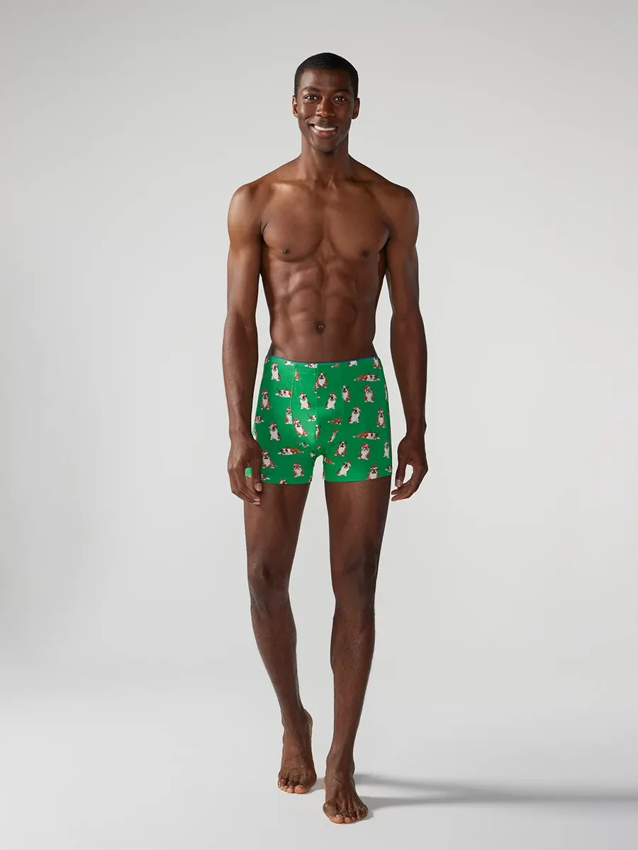 4639-the-frankies-boxer-brief-4.webp The Frankies (Boxer Brief)