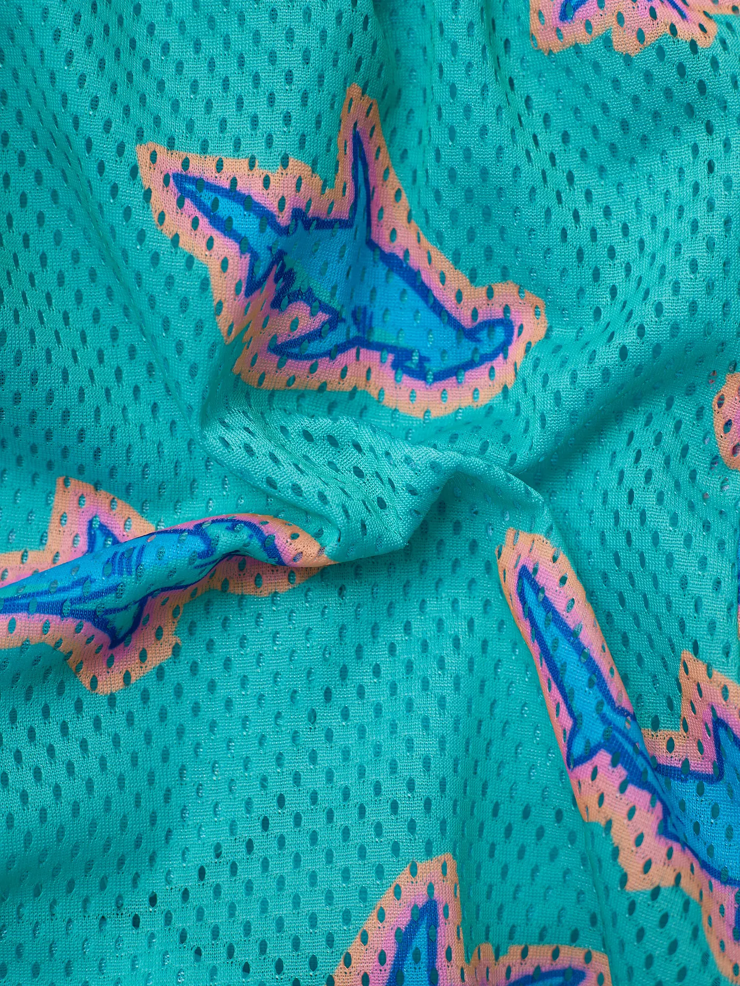 The Apex Swimmers (Boys Court Short)