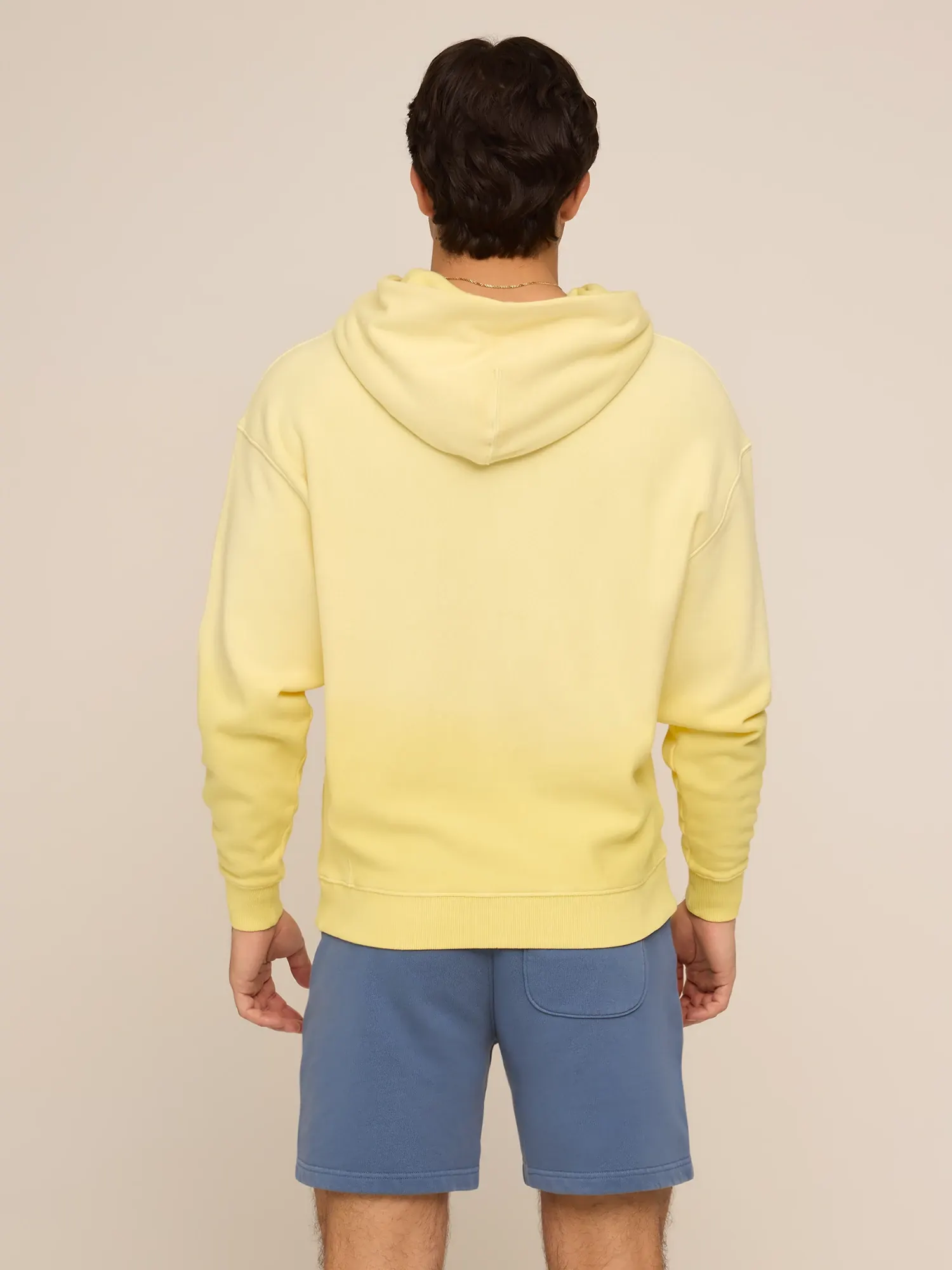 The Dandelion (Comfort Hoodie)