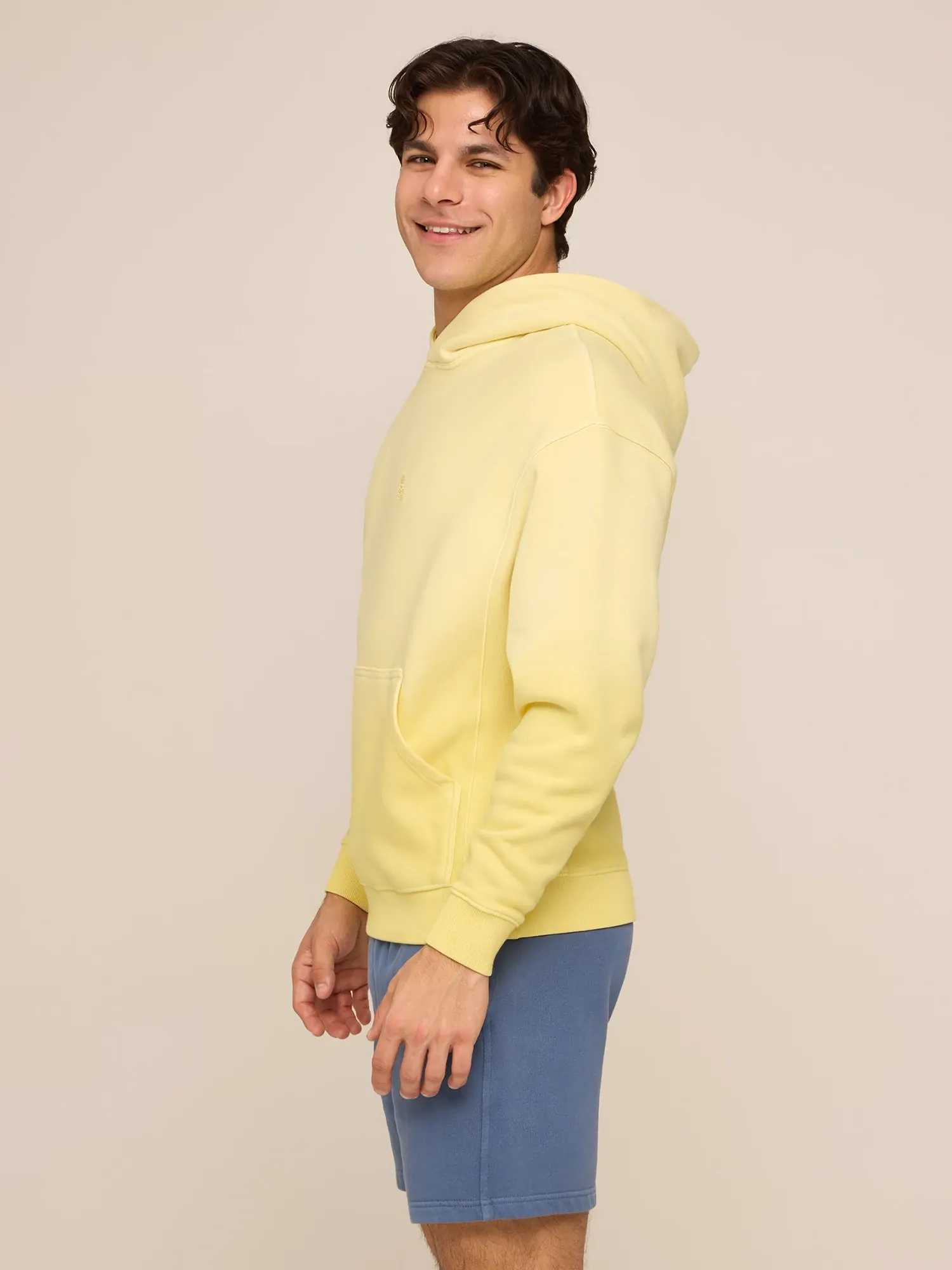 The Dandelion (Comfort Hoodie)