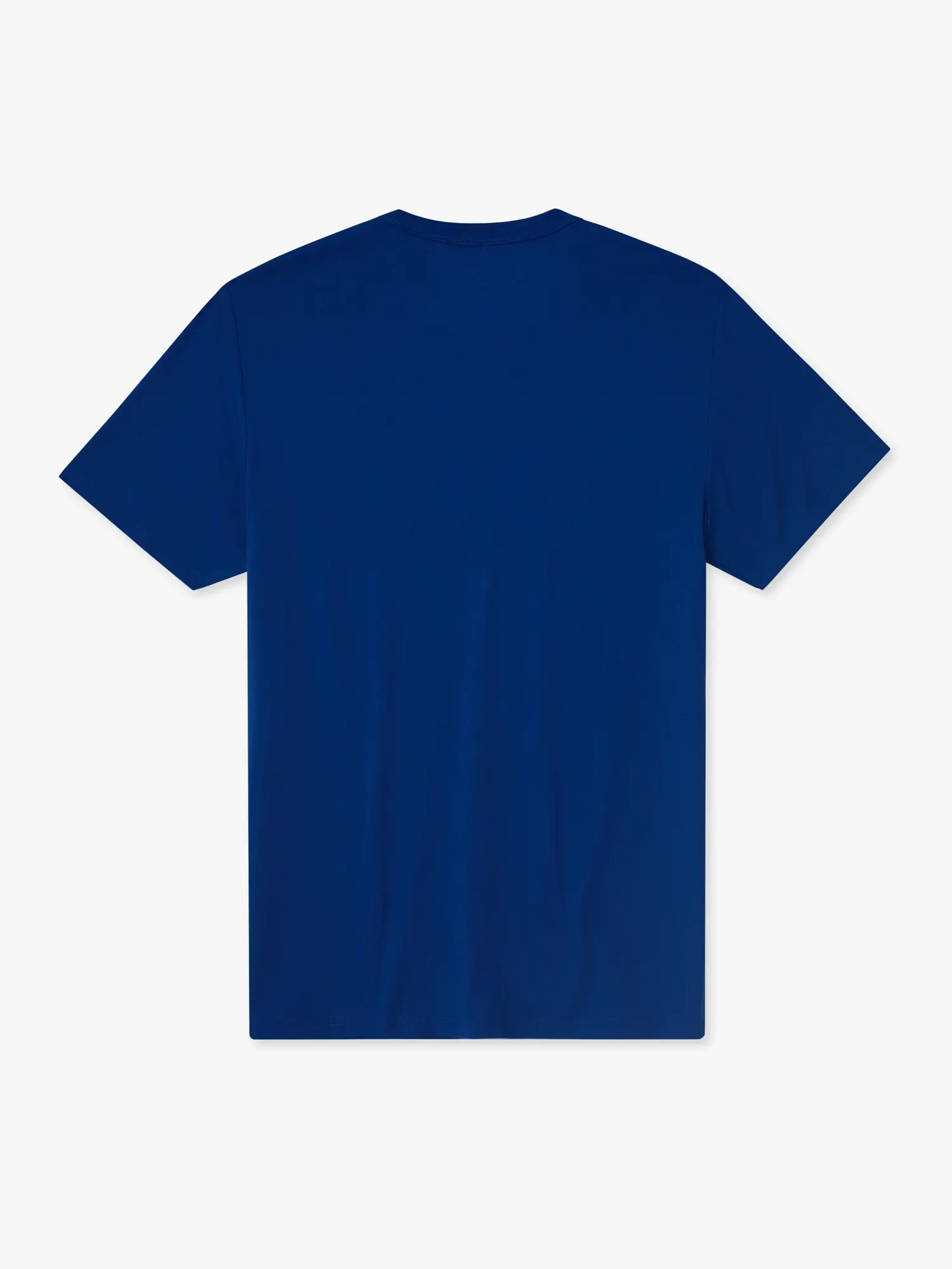 The Rex Marks The Spot (Boys Non Pocket T-Shirt)
