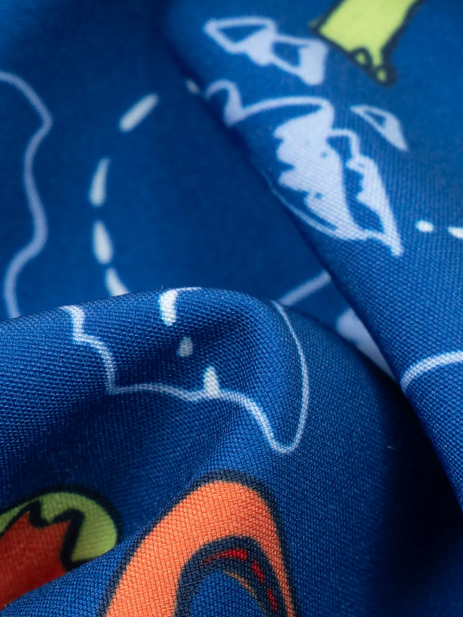 The Rex Marks The Spots (Boys Lined Swim Trunk)