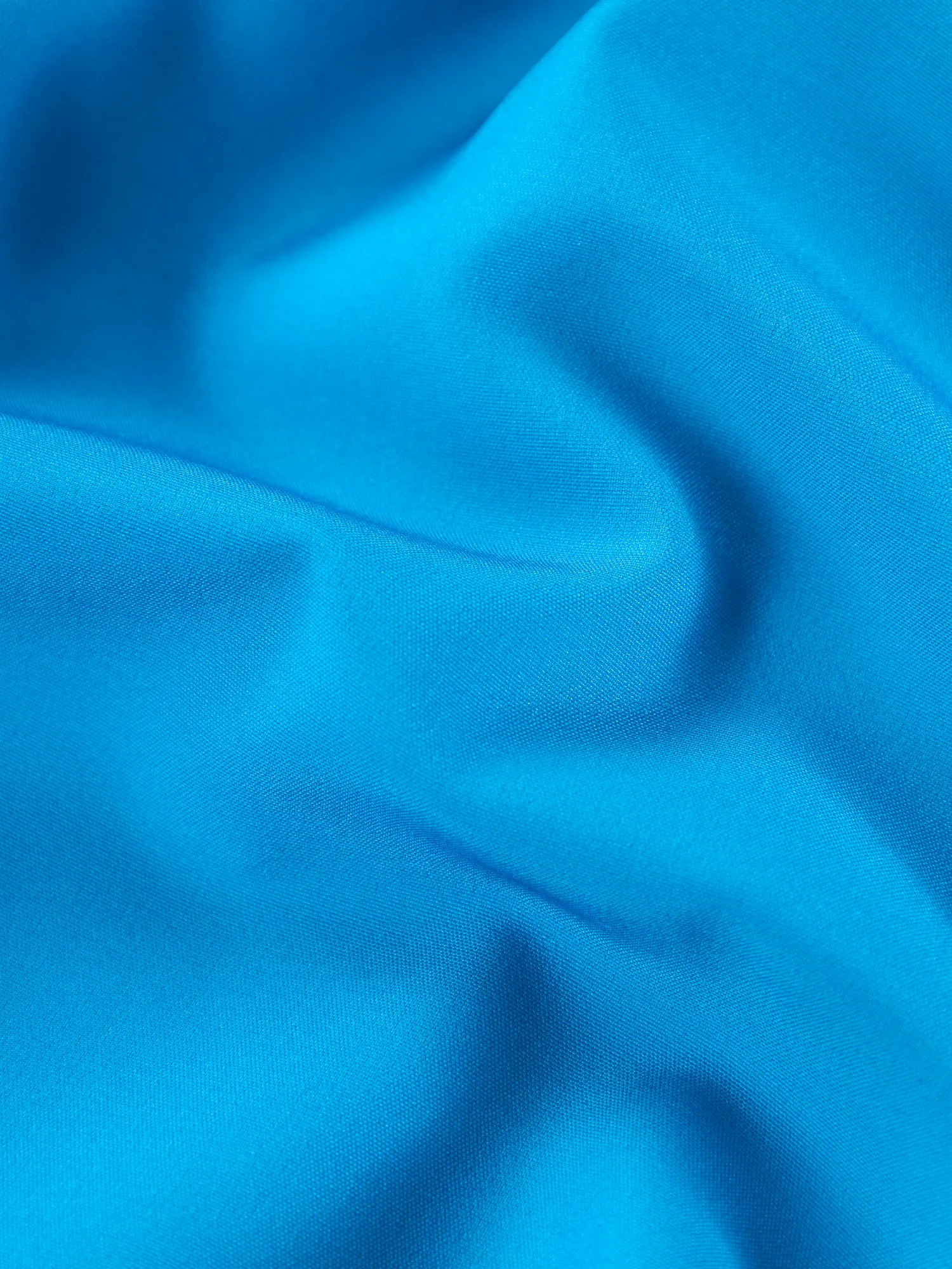 The Secret Panthers 5.5" (Classic Lined Swim Trunks)